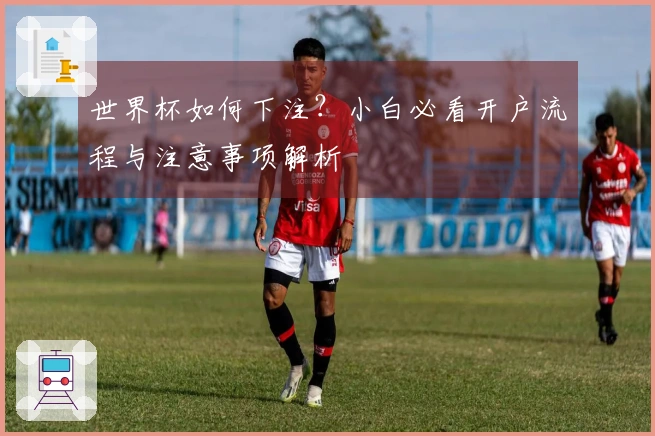 世界杯如何下注？小白必看开户流程与注意事项解析