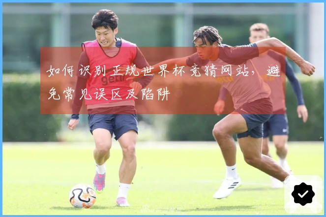 如何识别正规世界杯竞猜网站，避免常见误区及陷阱