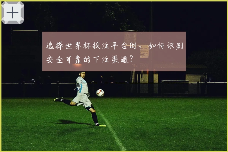 选择世界杯投注平台时，如何识别安全可靠的下注渠道？