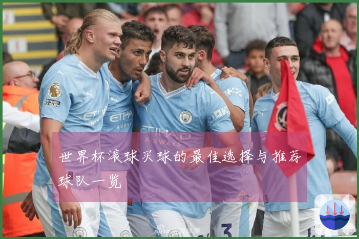 世界杯滚球买球的最佳选择与推荐球队一览