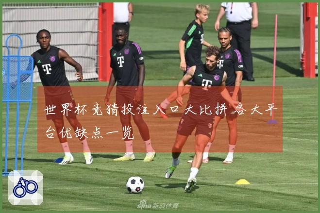世界杯竞猜投注入口大比拼 各大平台优缺点一览