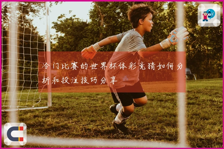 冷门比赛的世界杯体彩竞猜如何分析和投注技巧分享