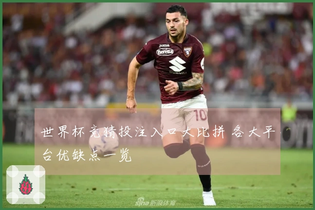 世界杯竞猜投注入口大比拼 各大平台优缺点一览