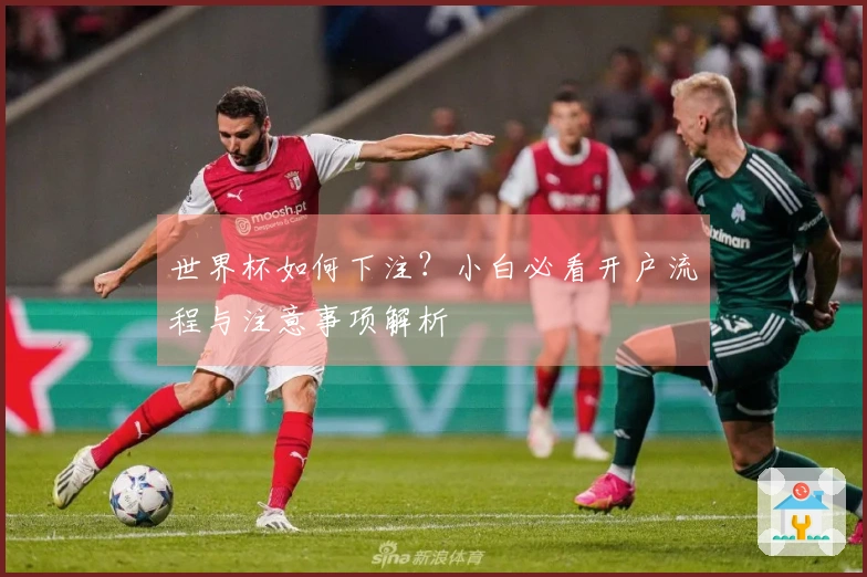 世界杯如何下注？小白必看开户流程与注意事项解析